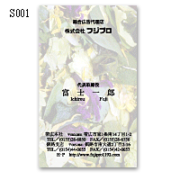 S001