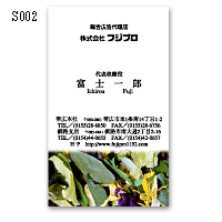 S002