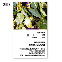 S003