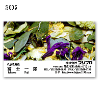 S005