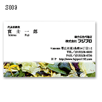 S009